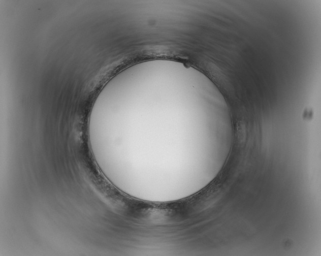 X0000112800255200909111242