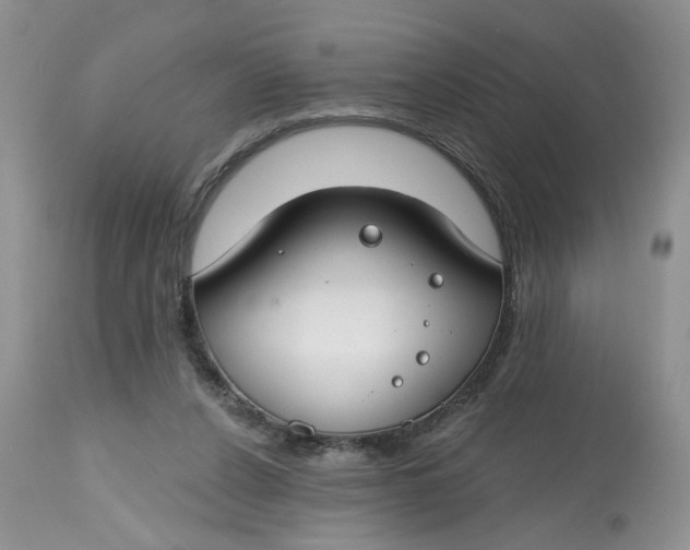 X0000112800256200909111242