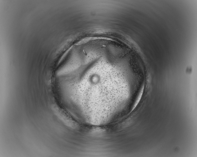 X0000112800257200909111242