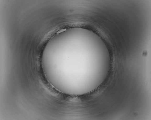 X0000112800258200909111243