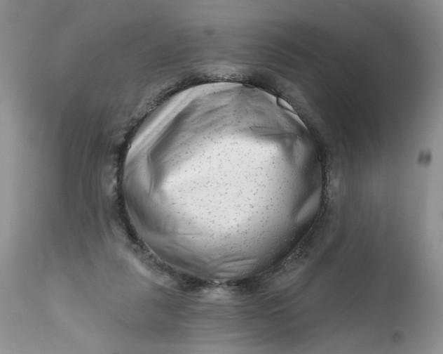 X0000112800259200909111243