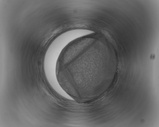 X0000112800260200909111243