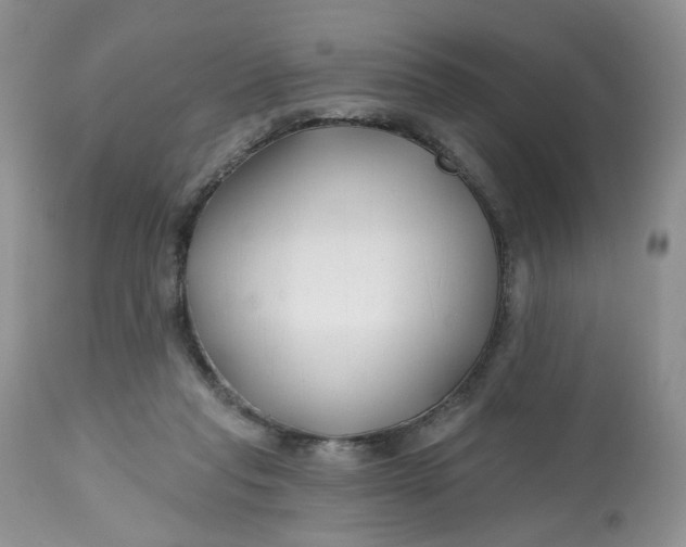 X0000112800261200909111243