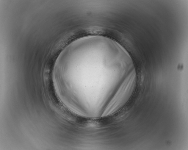 X0000112800263200909111243