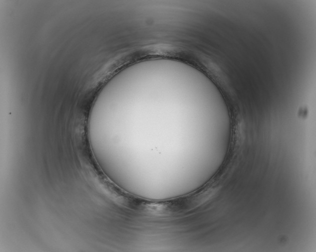 X0000112800265200909111243