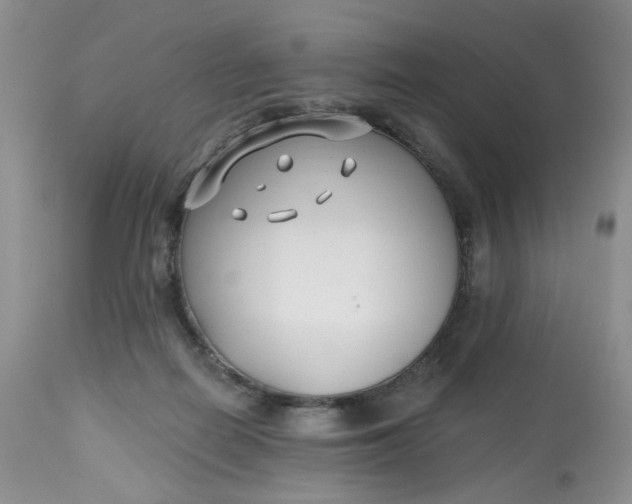 X0000112800266200909111243