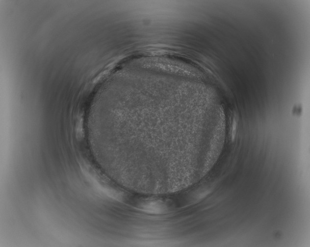 X0000112800267200909111243