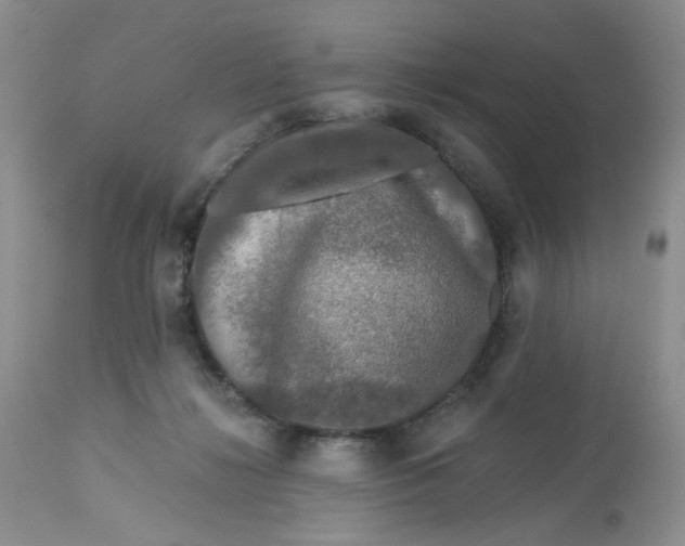 X0000112800268200909111243