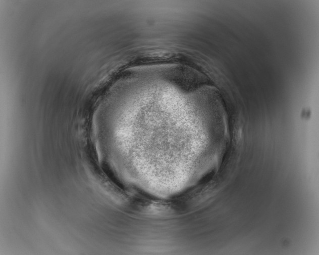 X0000112800270200909111243