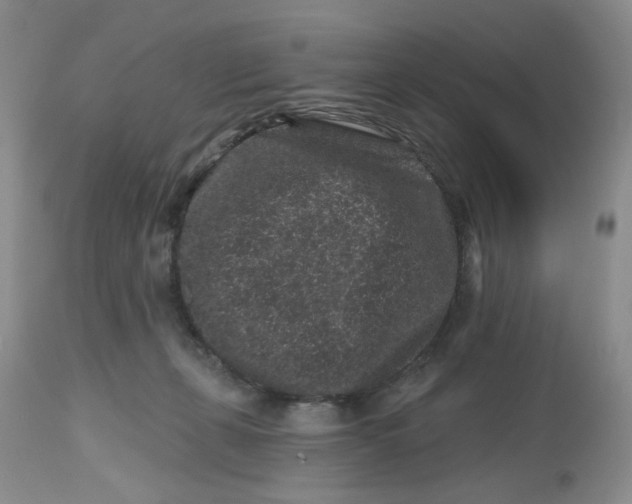 X0000112800271200909111243