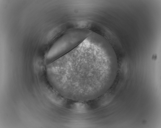 X0000112800272200909111243