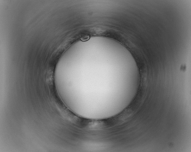 X0000112800274200909111243