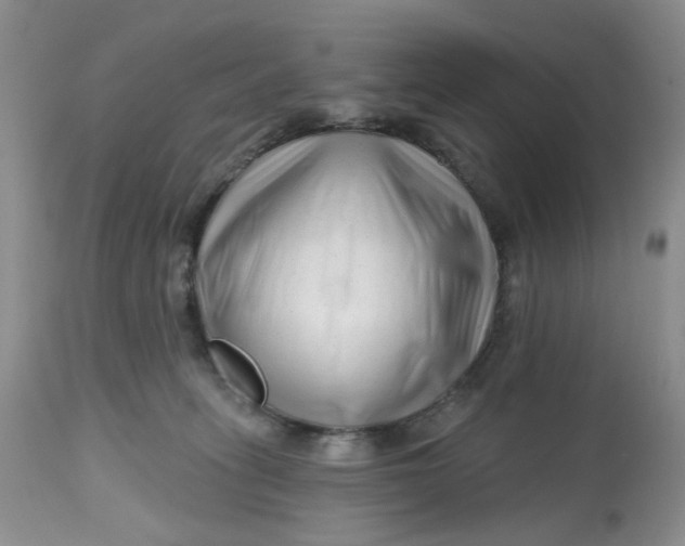 X0000112800275200909111243