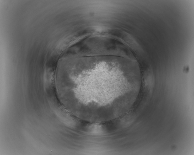 X0000112800276200909111243