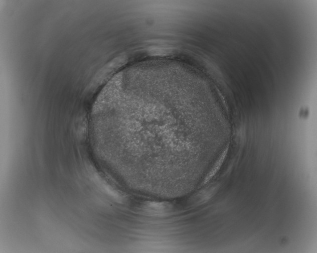 X0000112800277200909111243