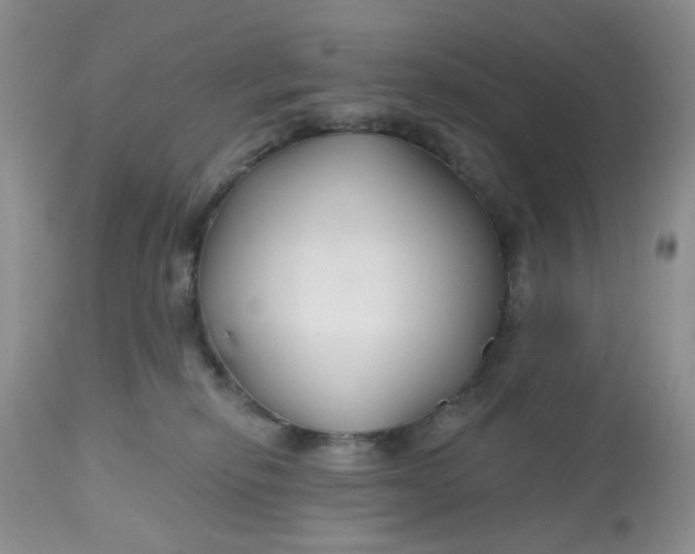 X0000112800278200909111243