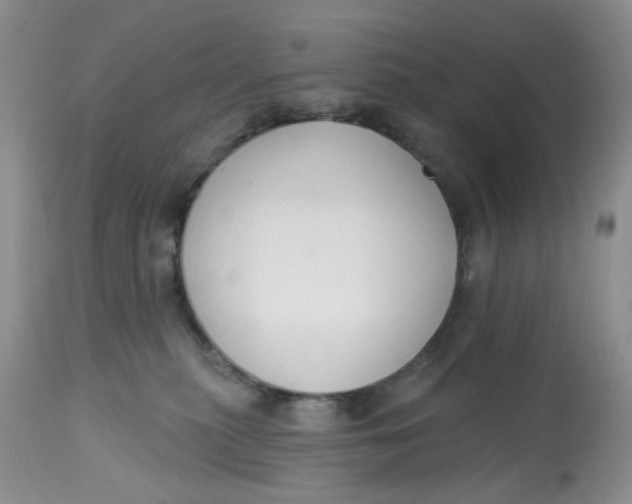 X0000112800279200909111243