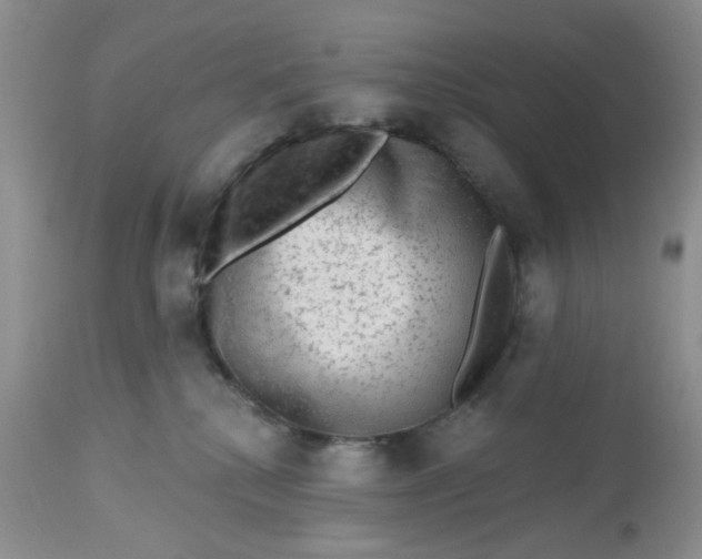 X0000112800280200909111243