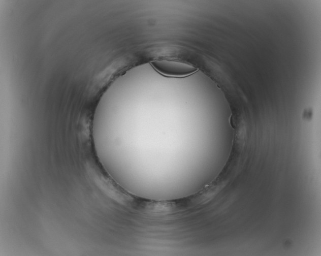 X0000112800282200909111243