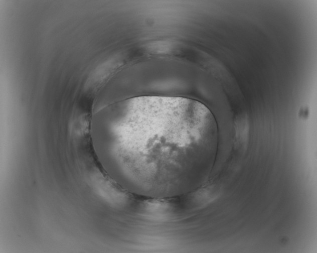 X0000112800284200909111243