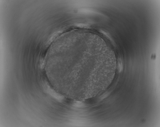 X0000112800285200909111243