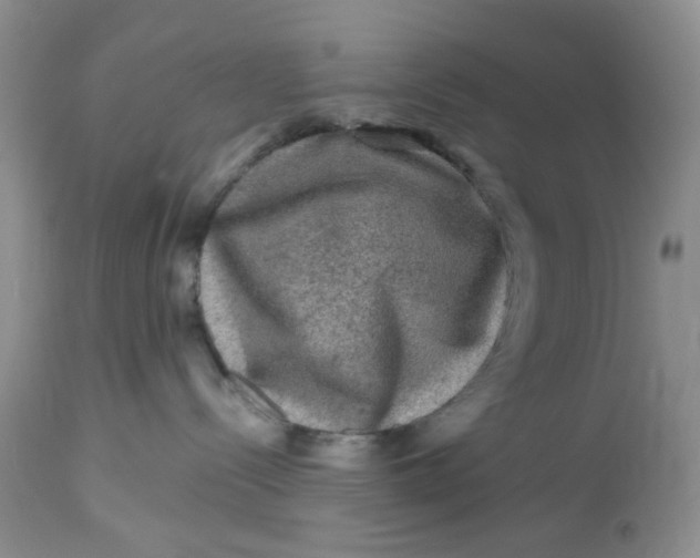 X0000112800288200909111243