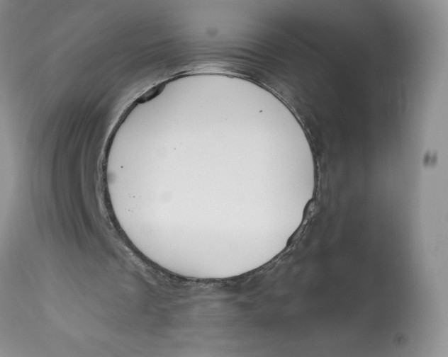 X0000112800289200909111242