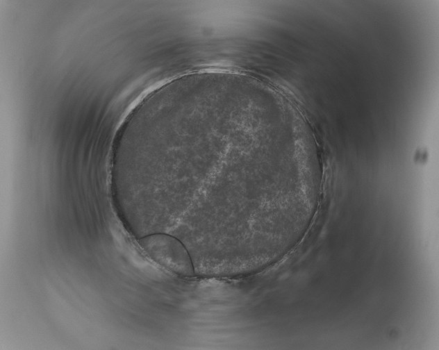 X0000112800290200909111242