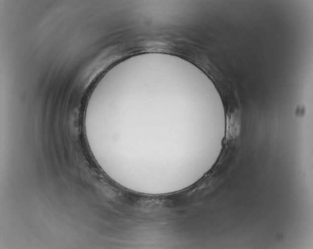 X0000112800291200909111242