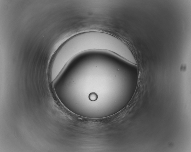 X0000112800292200909111242