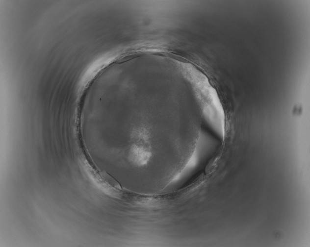 X0000112800293200909111242