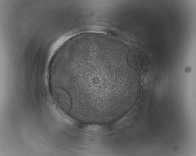 X0000112800294200909111242