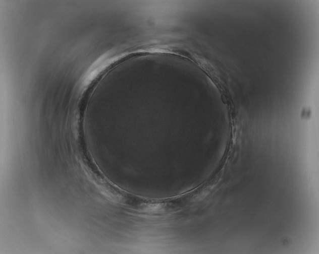 X0000112800295200909111242