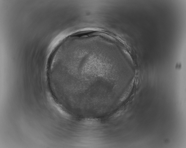 X0000112800296200909111242