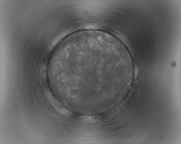 X0000112800297200909111242