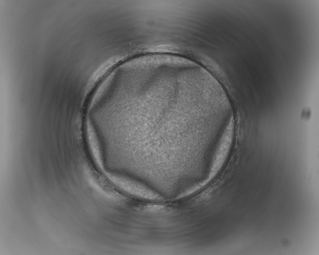 X0000112800298200909111242