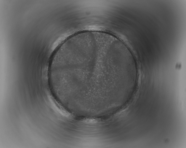 X0000112800299200909111242