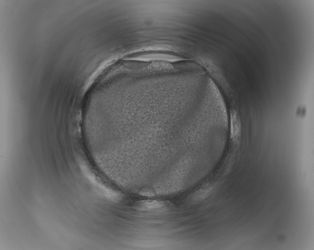 X0000112800300200909111242