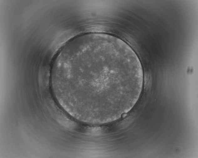 X0000112800301200909111242