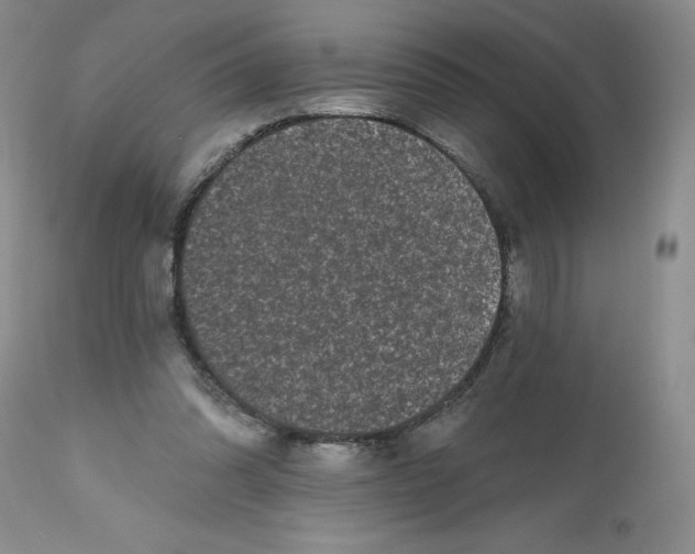 X0000112800302200909111242