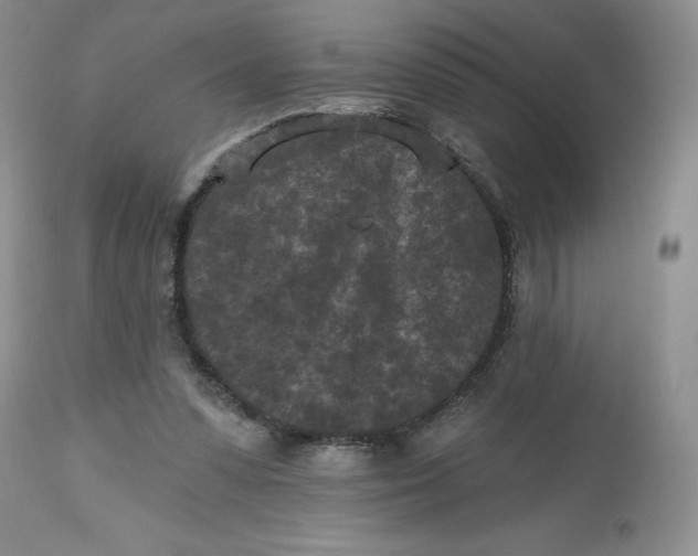 X0000112800303200909111242