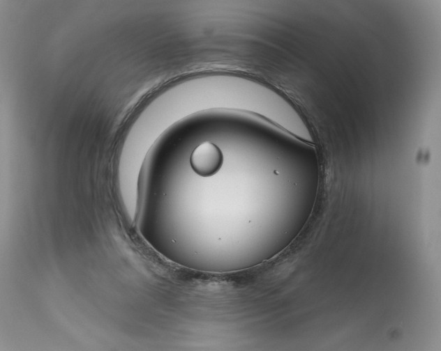 X0000112800304200909111242