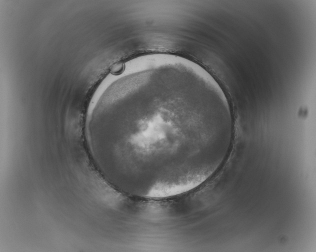 X0000112800305200909111242