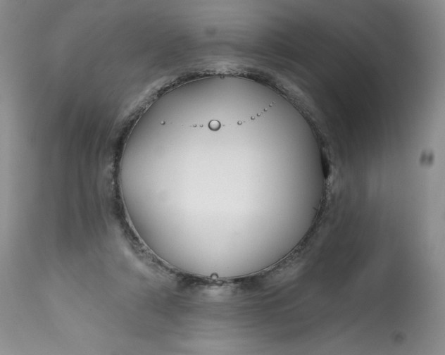 X0000112800306200909111242