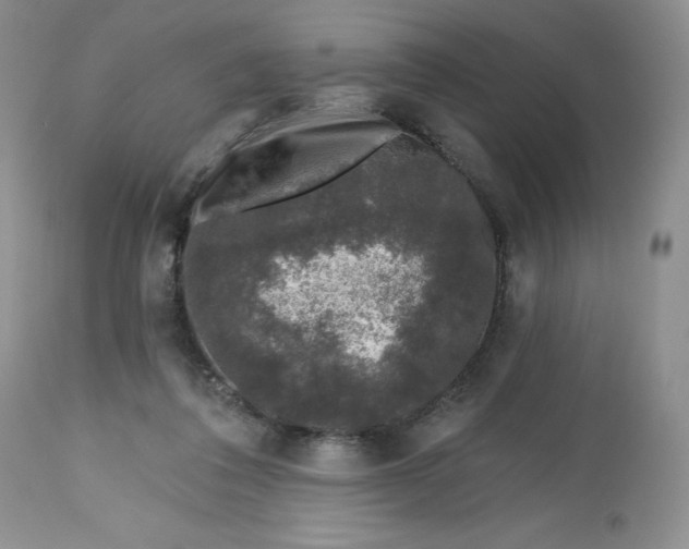 X0000112800308200909111242