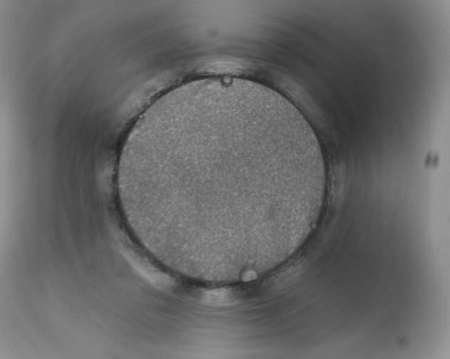 X0000112800309200909111242