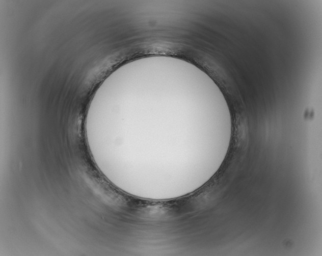 X0000112800310200909111242