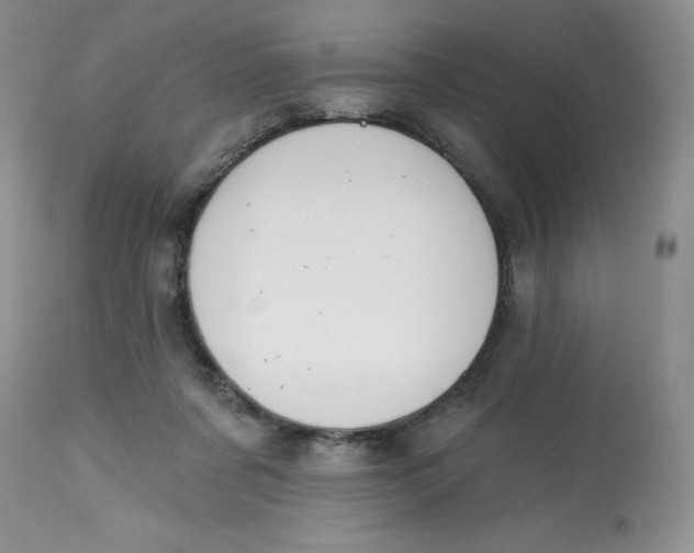 X0000112800311200909111242