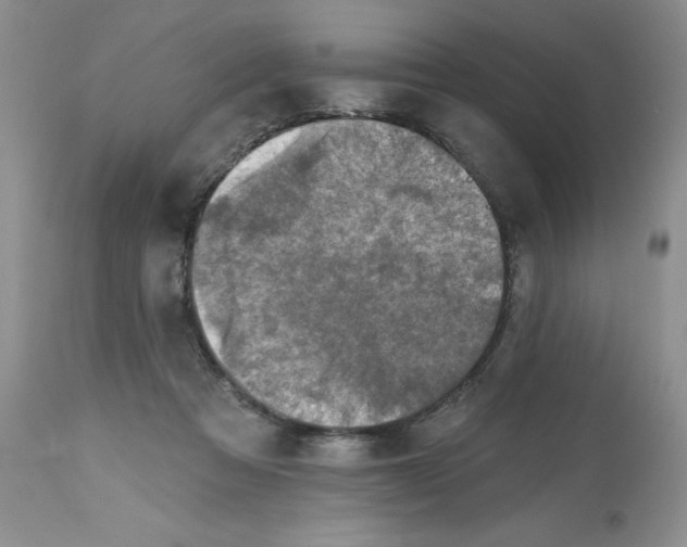 X0000112800313200909111242