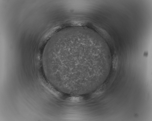 X0000112800314200909111242